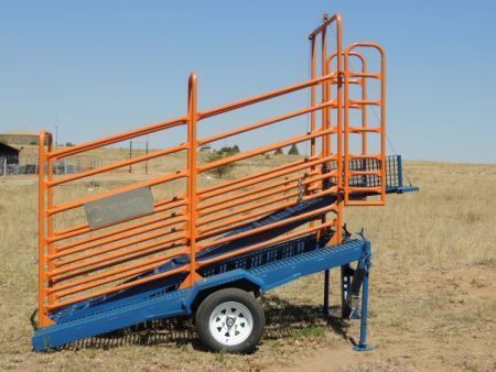 Bully Mobile Loading Ramp 2